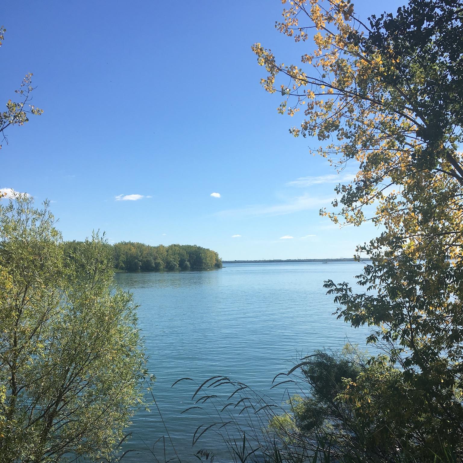 View of the St. Lawrence in summer from our local park. It's nice to have a regular reminder that we live on an island.