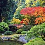 Portland Japanese Garden