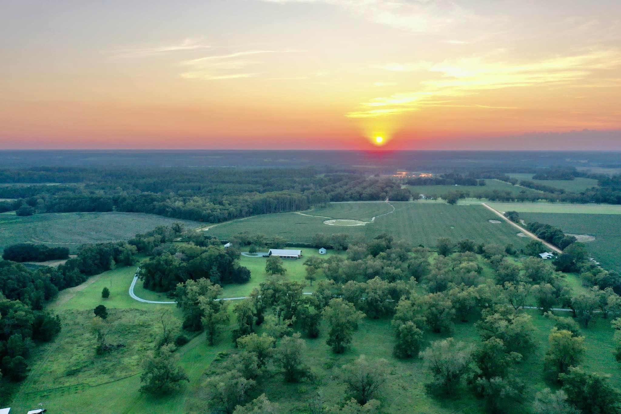 The Wedding Website of Alexis Nicole and Blake Hunter