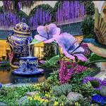 Bellagio Conservatory & Botanical Gardens