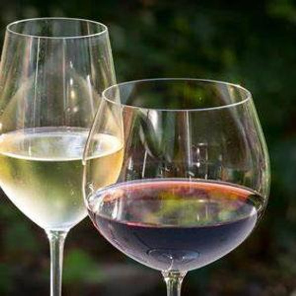 Wedding at Cana Fund: Reception Wine!