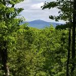 Horatio Colony Nature Preserve
