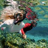 Snorkel Adventure Bahamas