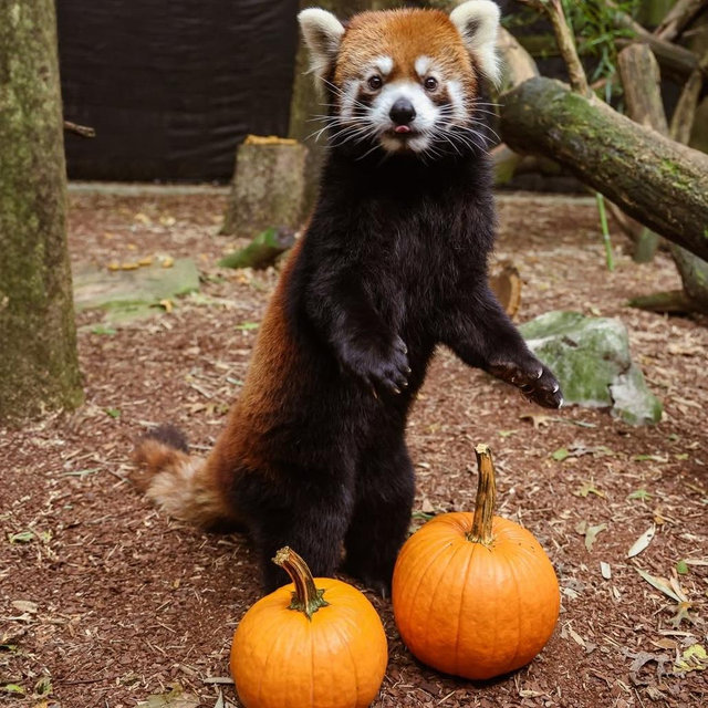 Zoo Membership for Two