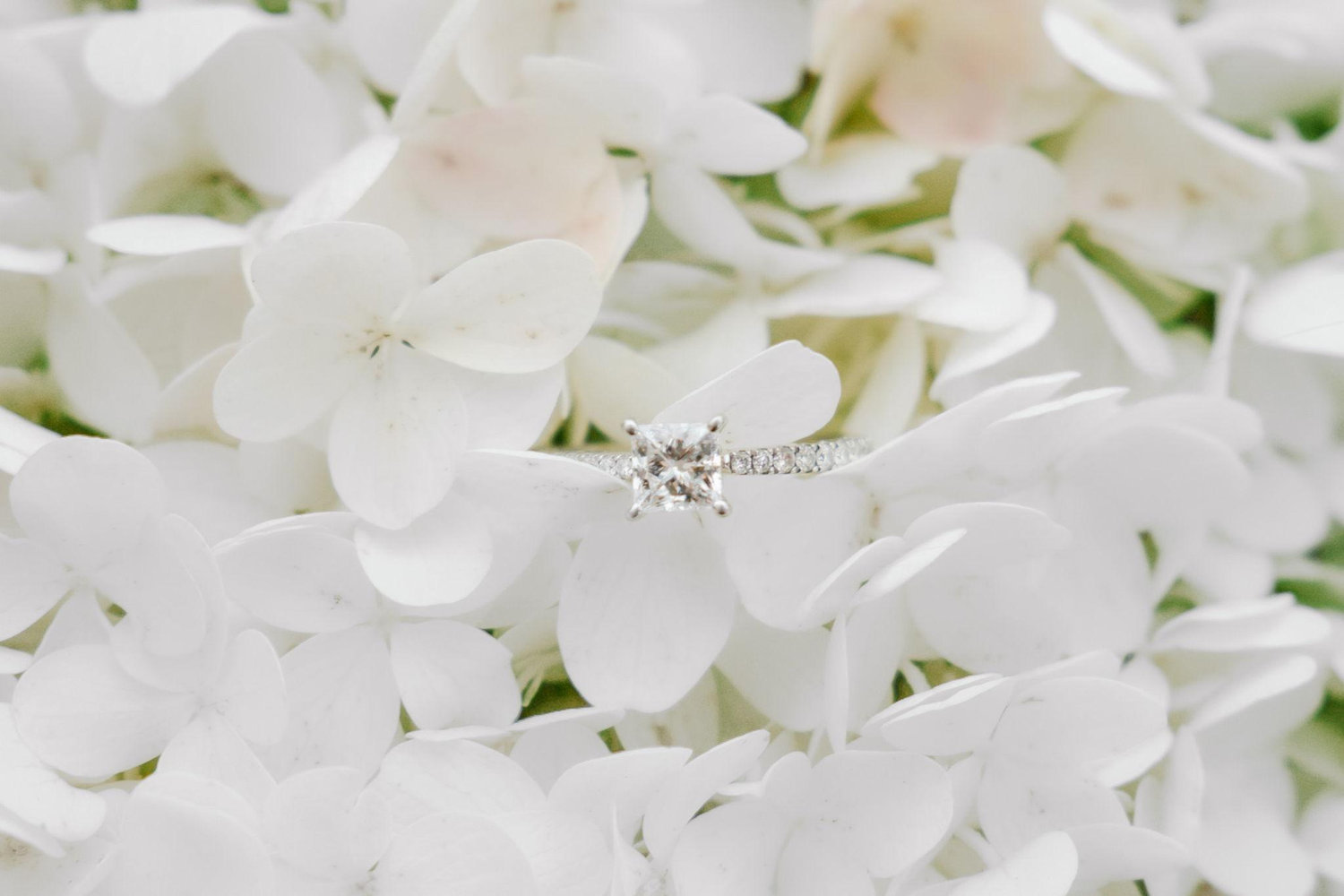 The Wedding Website of Liberty Posey and Ethan Barton