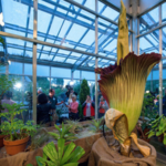 Denver Botanic Gardens
