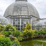 Anna Scripps Whitcomb Conservatory