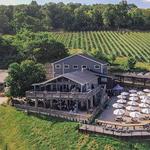 Bluemont Vineyard