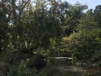 Bidwell Park One-Mile