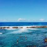 Sharks Cove