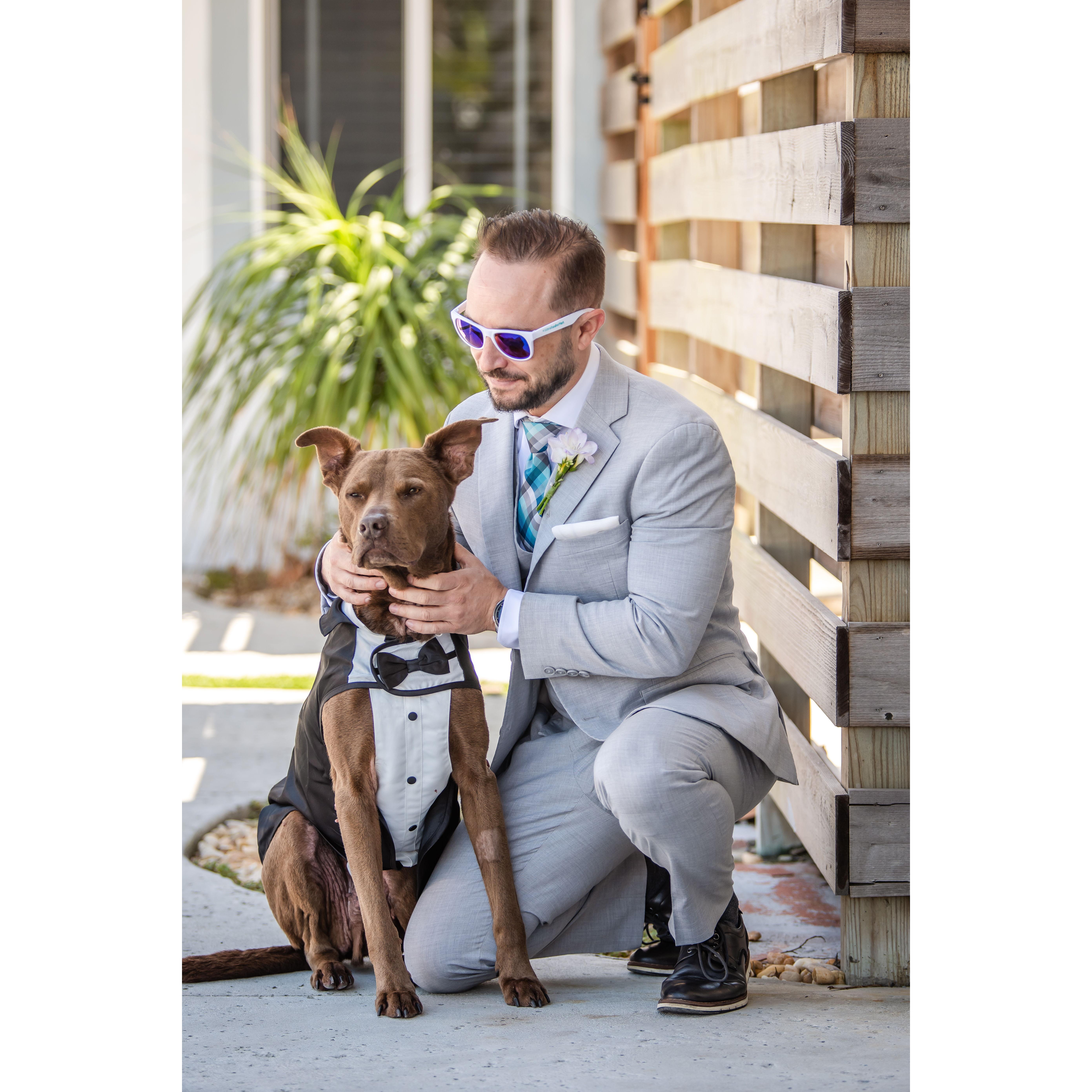 Mark and his Professional Good Boy, Rusty, was our Ring Bearer