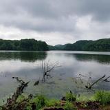 Radnor Lake