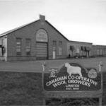 Real Wool Shop