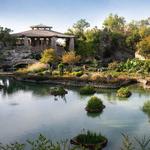 Japanese Tea Garden