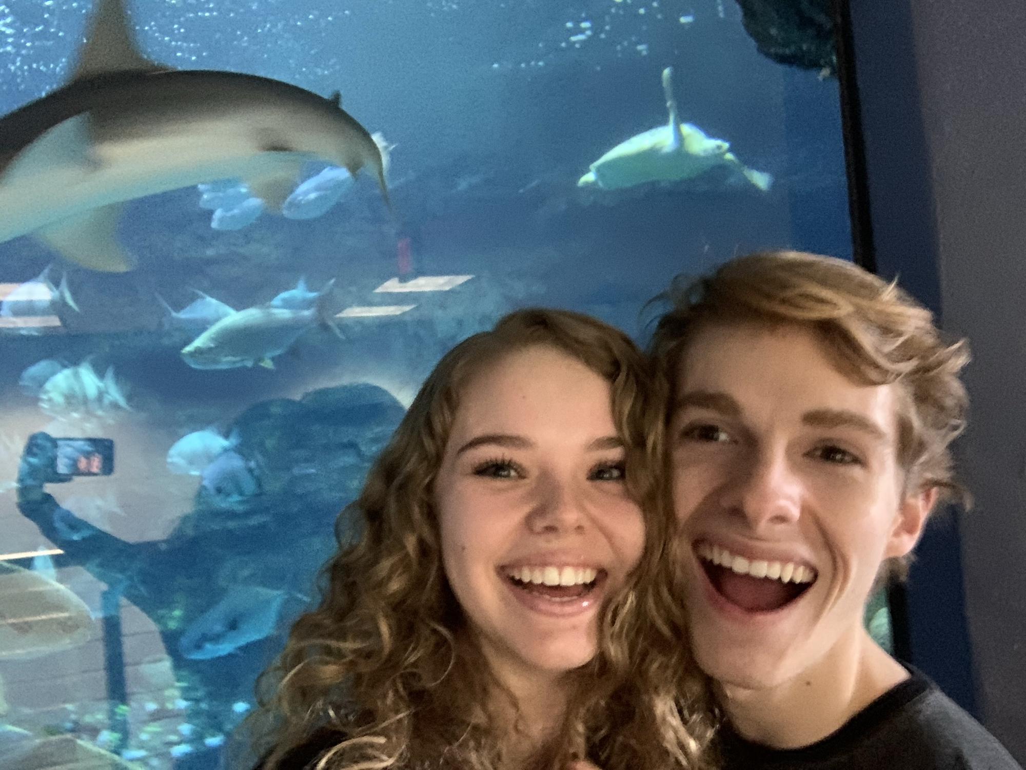Sharks at the aquarium!