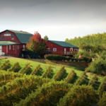 Carter Mountain Orchard