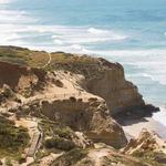 Torrey Pines State Natural Reserve