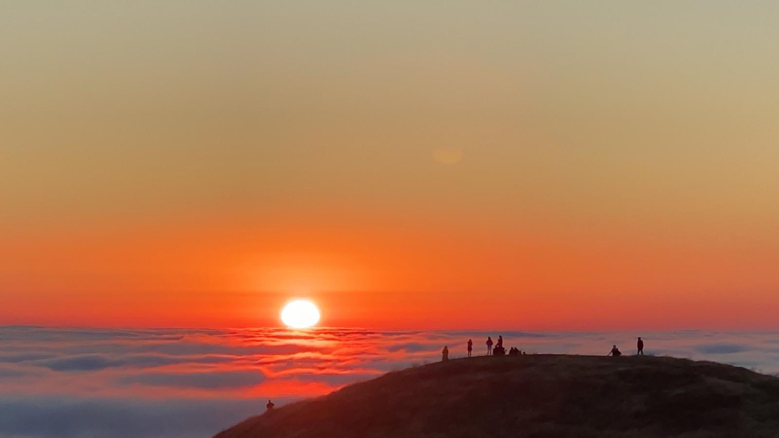 The Wedding Website of Jess Segal and Bill Paine