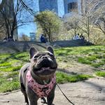 Central Park