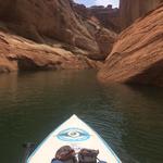 Stand Up Paddleboarding