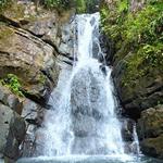 El Yunque National Forest