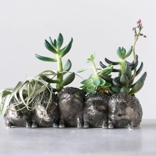 Distressed Iron Resin Hedgehog Planter