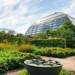 Garfield Park Conservatory