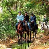 Cabalgatas Medellín - Fonda Caballo Loco