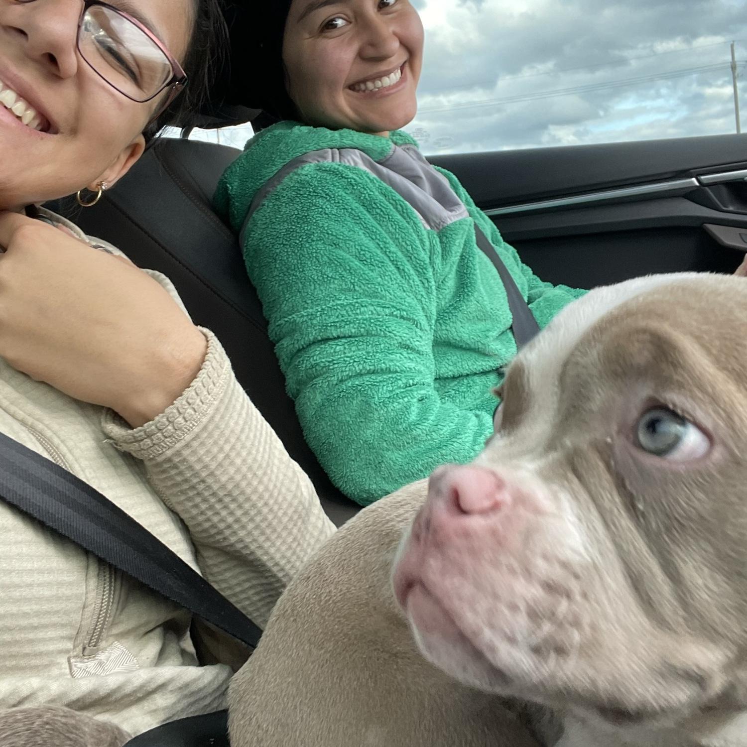 Got our AJaxx!