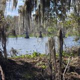 Circle B Bar Reserve