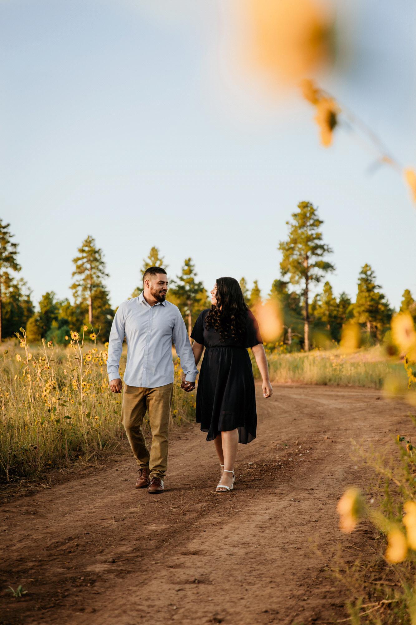 Engagement Pictures