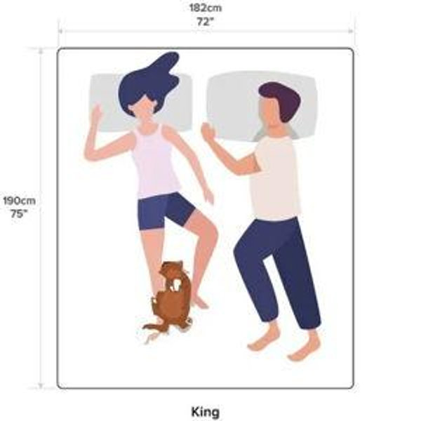 King size bed frame and mattress