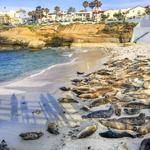 La Jolla Cove