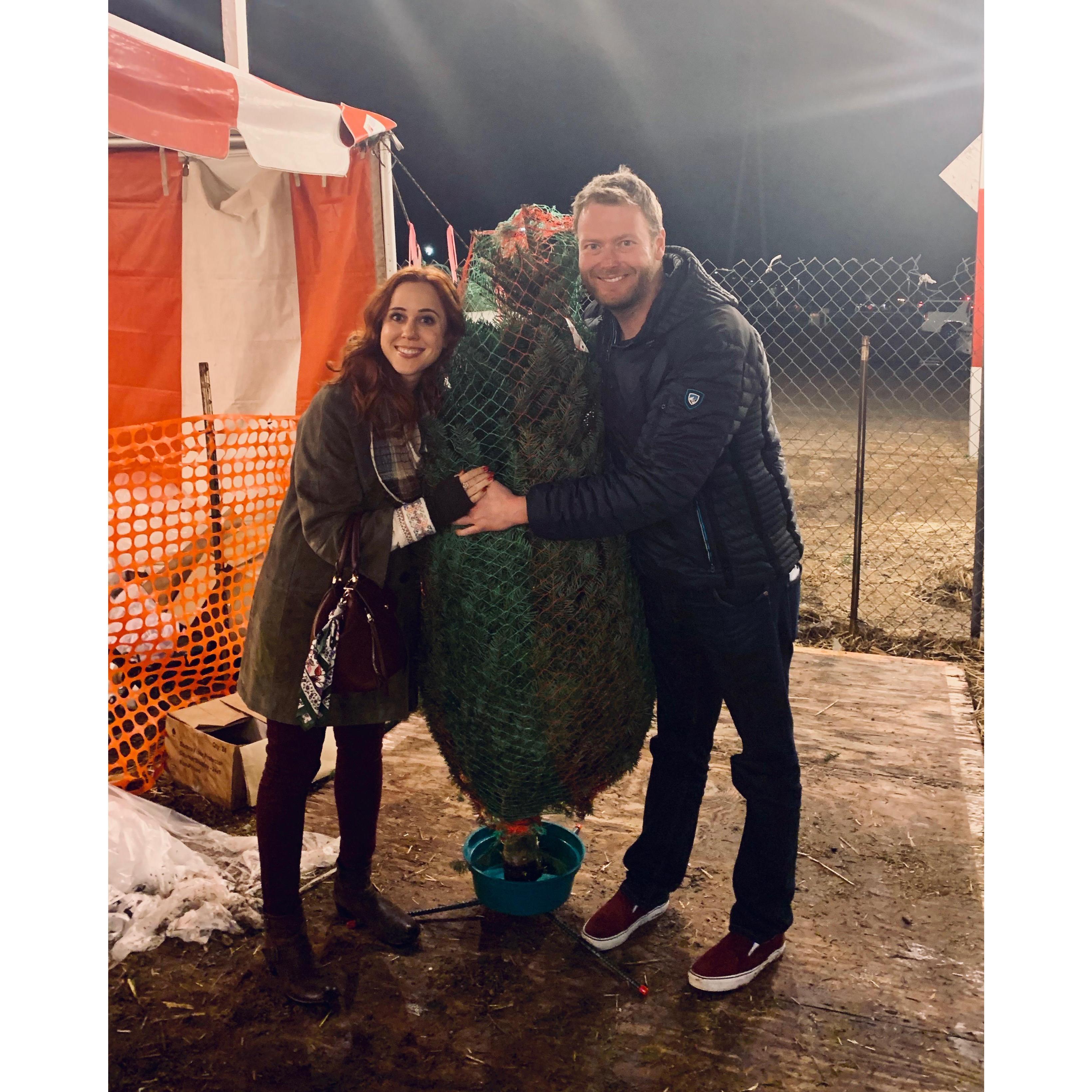 Getting our first Christmas tree together (and this shot made our first Christmas card!).