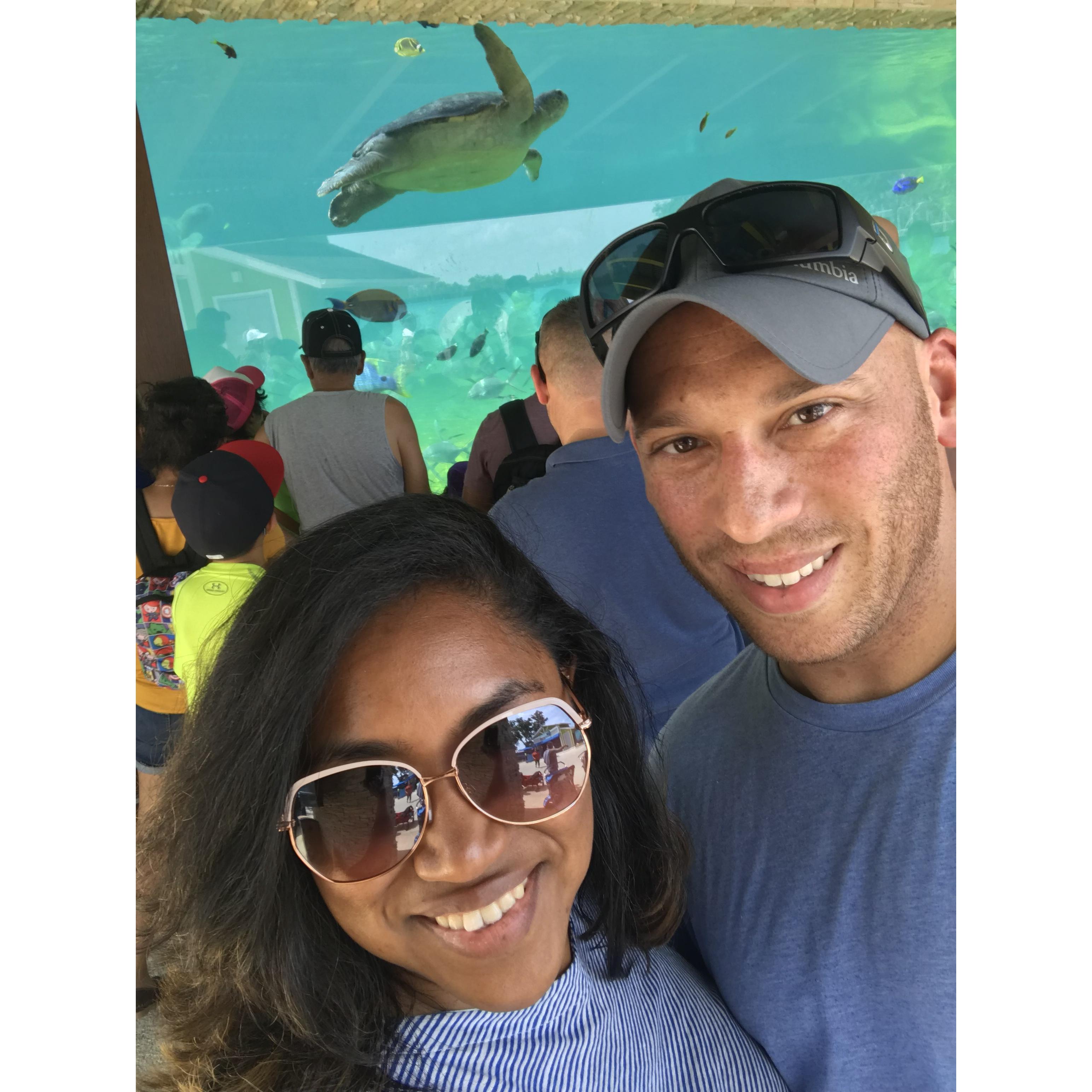 Sea World. 2019.