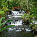 Hot Springs / Aguas Termales