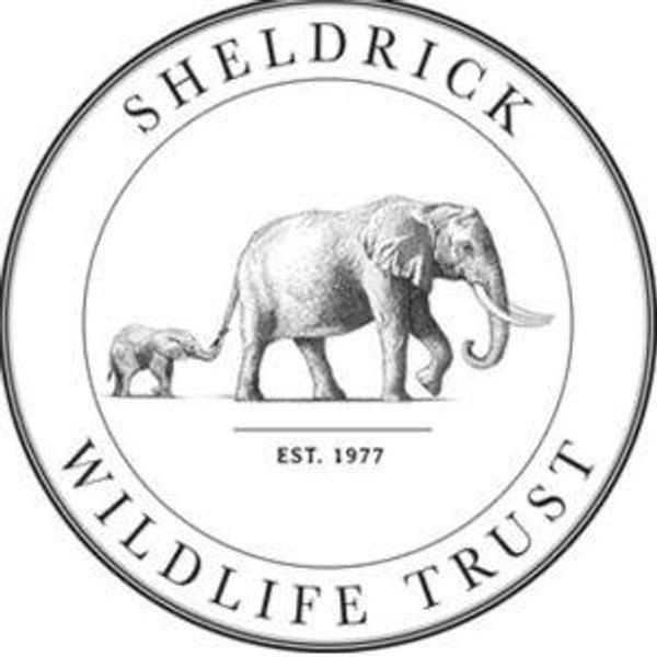 Sheldrick Wildlife Trust