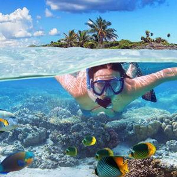 Seychelles Snorkeling