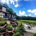 Engelheim Vineyards
