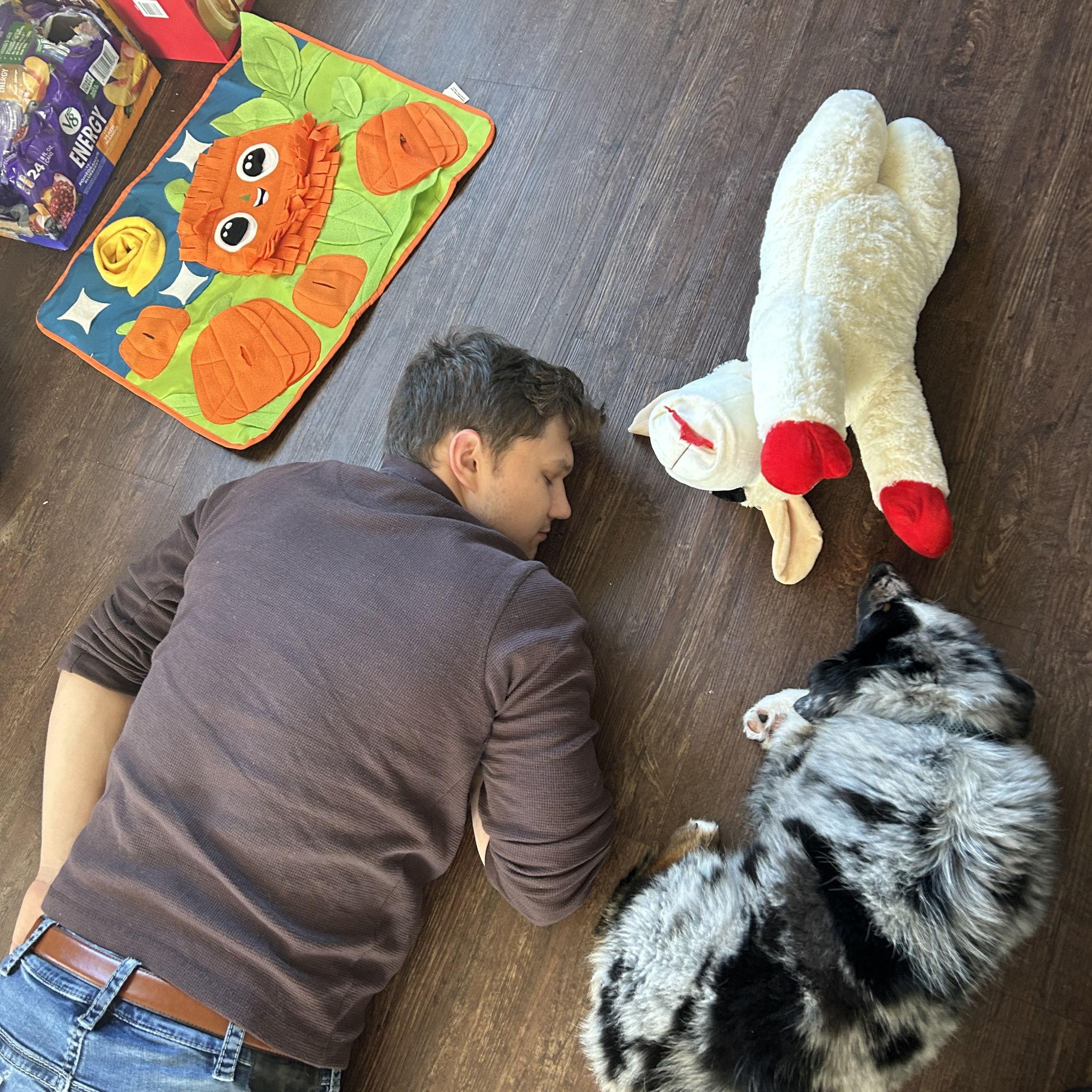 We adopted Bluey and became DOG parents