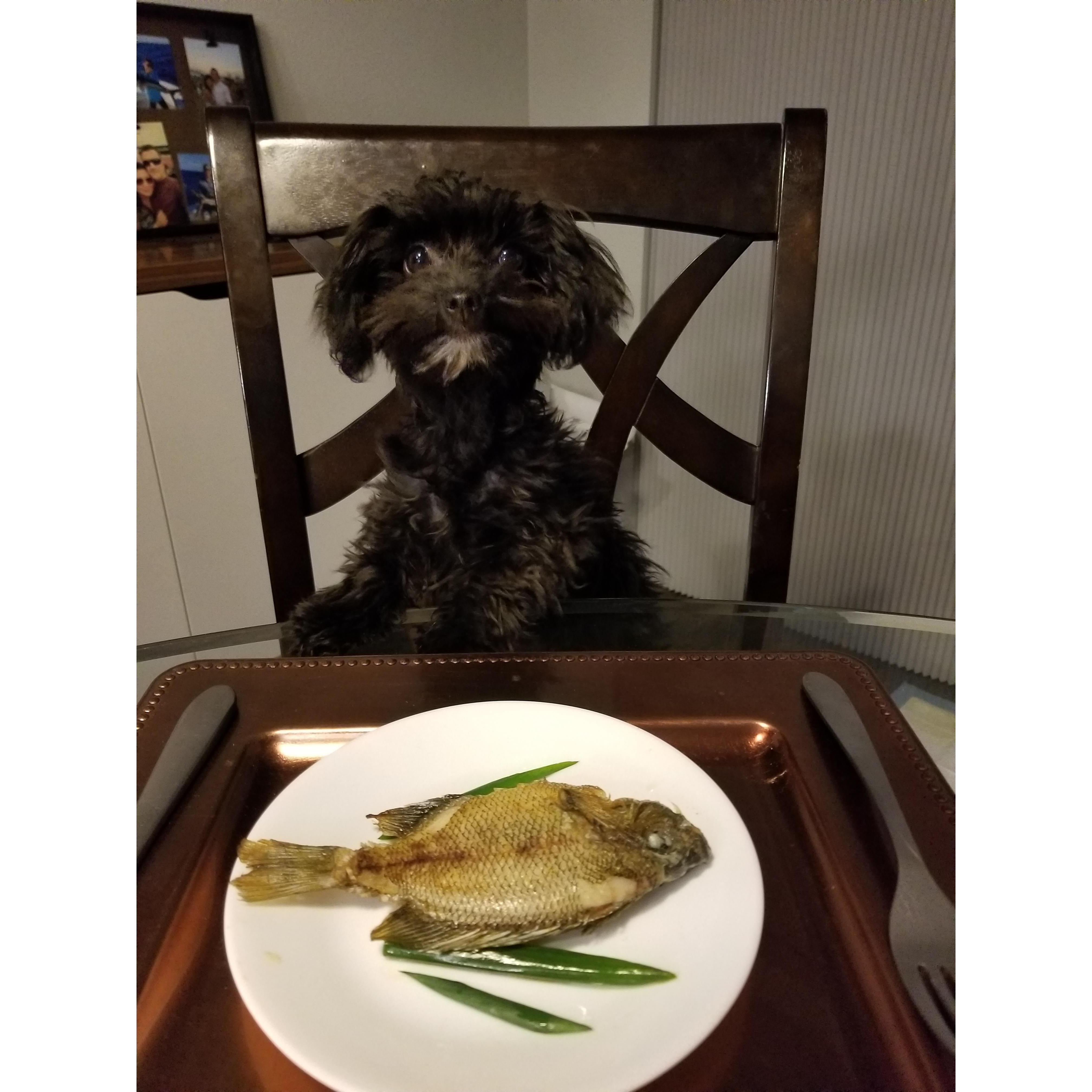Can I eat yet??