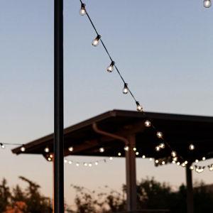 Bistro String Lights - Williams Sonoma