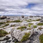 The Burren