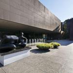 Carnegie Museum of Natural History and Art