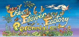 Plant Nursery Gift Card - The Flower Factory