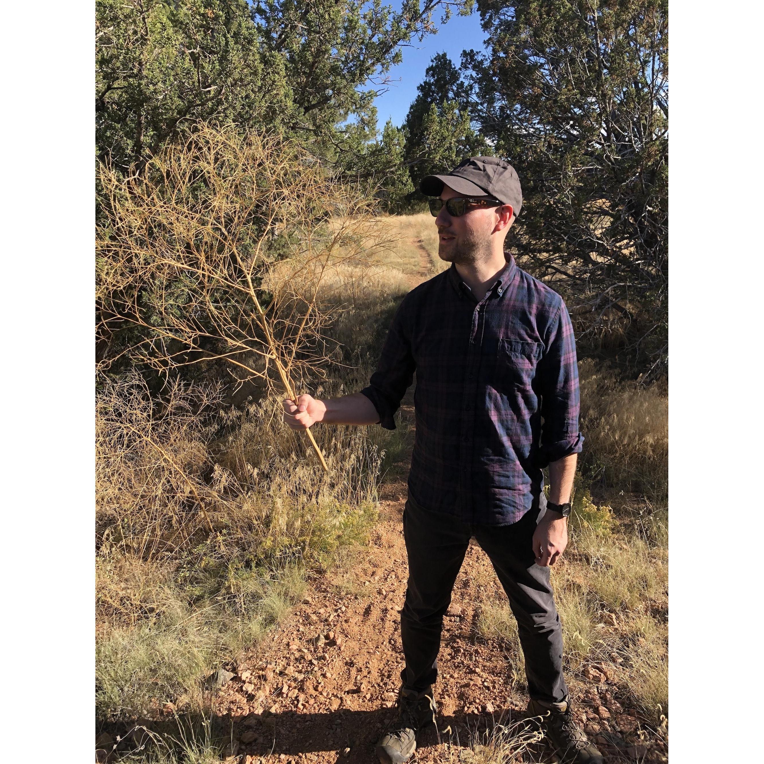 Pete marveling at a tumbleweed, 2019