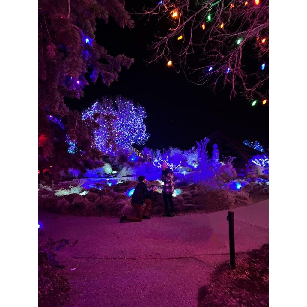 Jono proposed on 12/20/24 in the Denver Botanic Gardens during their Blossoms of Light festival.