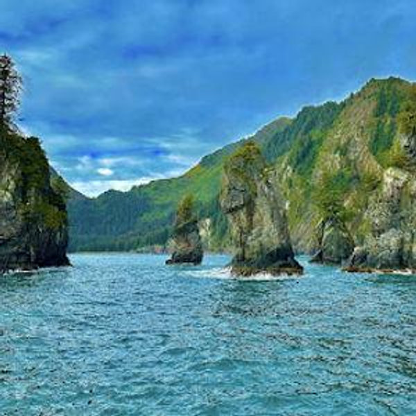 Kenai Fjords National Park Tours