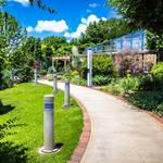 JC Raulston Arboretum