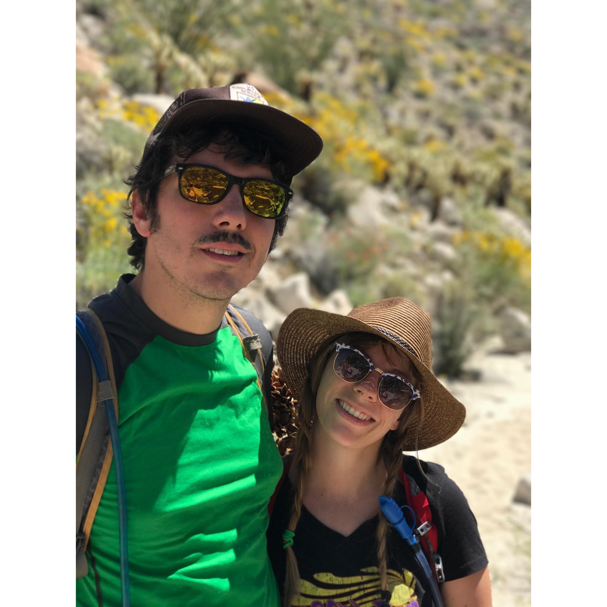 Anza-Borrego Desert, March 2017